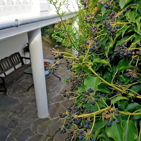 Alexa's - Naehe Europa Park *